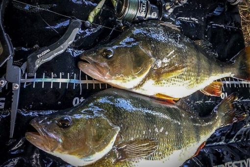 SPRO Freestyle Lite Unhooking Mat