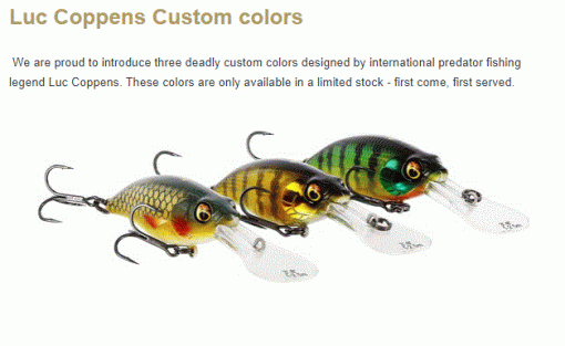 Westin Buzzbite Crankbait (Perch Magnet) - Image 11
