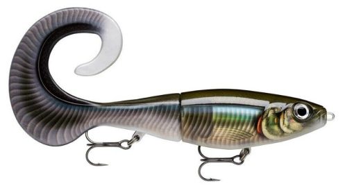RAPALA X-RAP OTUS 17CM - Image 6