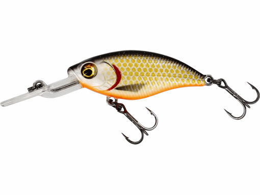 Westin Buzzbite Crankbait (Perch Magnet) - Image 3