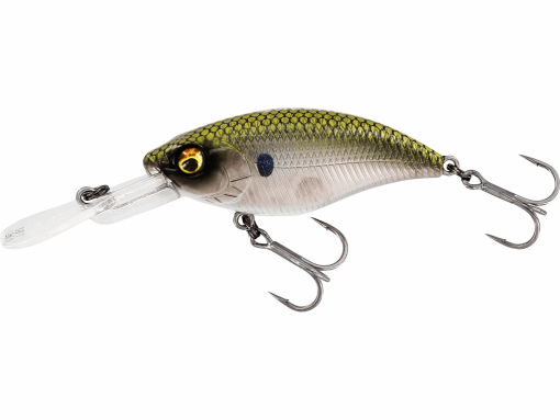 Westin Buzzbite Crankbait (Perch Magnet) - Image 6