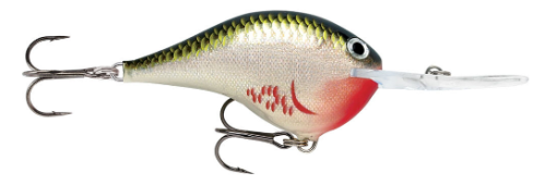 Rapala DT04 Crankbait (Dives To)