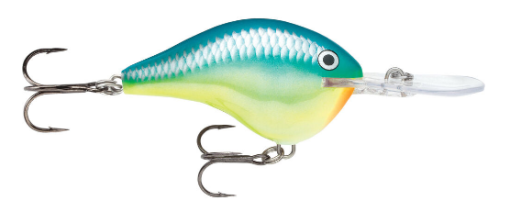 Rapala DTM20 Crankbait - Image 5