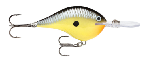 Rapala DT10 Crankbait - Image 6