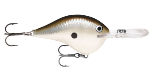 Rapala DT10 Crankbait - Image 7