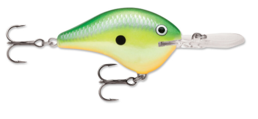Rapala DTM20 Crankbait - Image 3