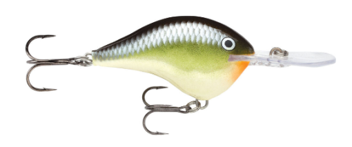 Rapala DT10 Crankbait - Image 8