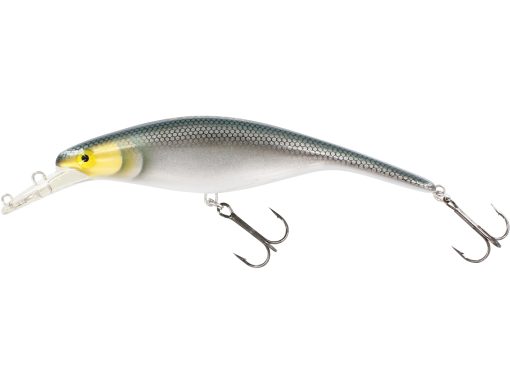 Westin Platypus Crankbait Sinking