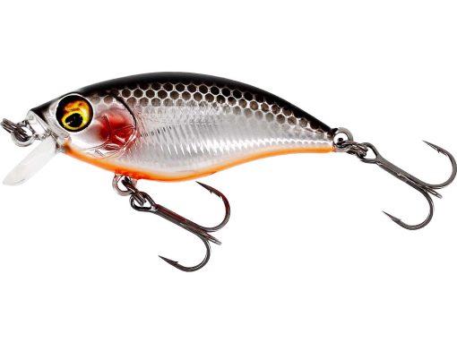 Westin BuzzBite SR (Shallow Runner) 4cm 4g - Image 5