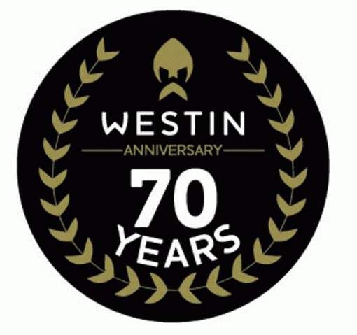 Westin 70th Anniversary Carbon Helmet - Image 5