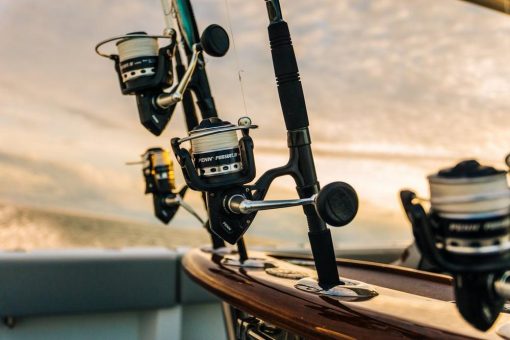 PENN Pursuit® IV Spinning - Image 2