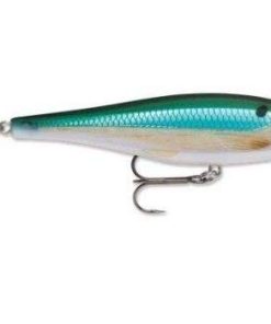 Rapala BX Minnow 10cm 12g - BXM10