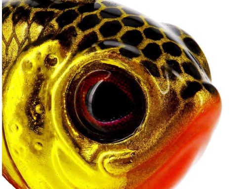 Westin - DropBite Tungsten Spin Tail Jig - Image 3