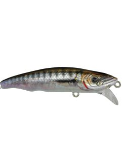 FISHUS - Espetit Heavy