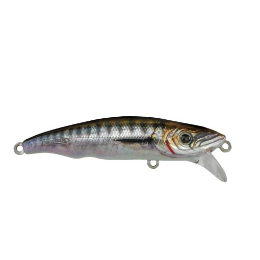 FISHUS - Espetit Heavy