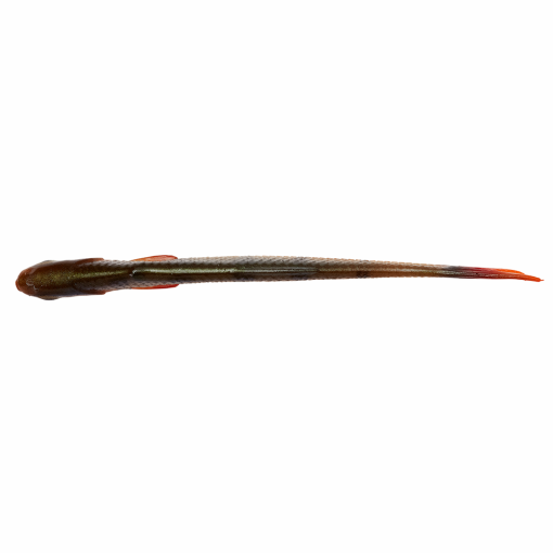 Savage Gear Craft Dying Minnow - Image 4