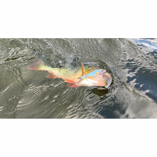 Savage Gear Craft Dying Minnow - Image 2