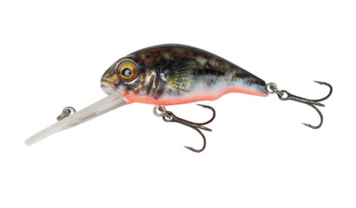 Savage Gear 3D Goby Crank 50 - Image 3