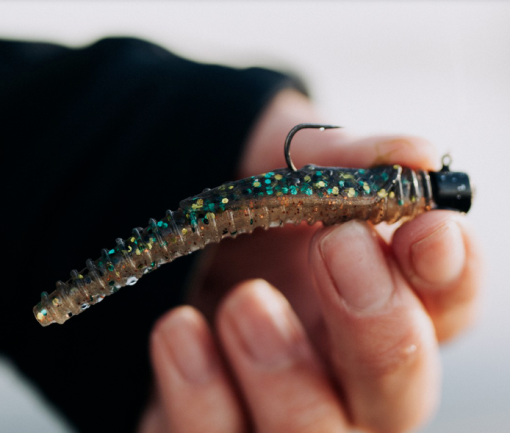 Rapala CrushCity - Ned's BLT - Image 3