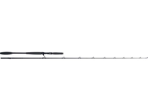 Westin - W10 Monsterstick-T - 5XH / 120-260g