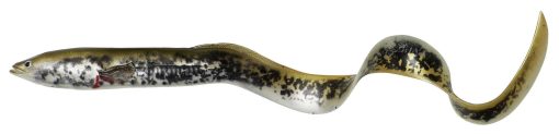 Savage Gear -  LB Real Eel 15cm 12g - Image 2