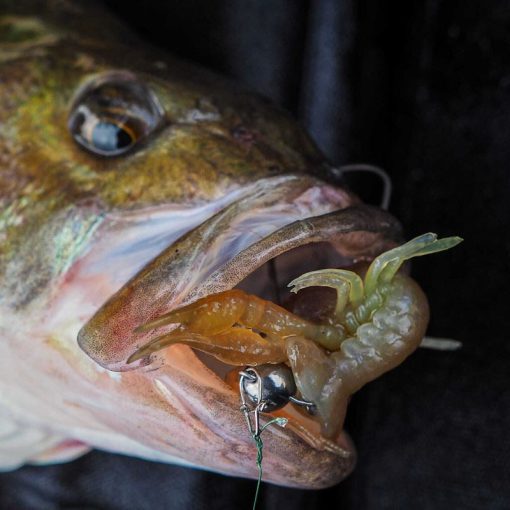 Savage Gear  |  Ned Craw  |  6.5cm - 2.5g - Image 2