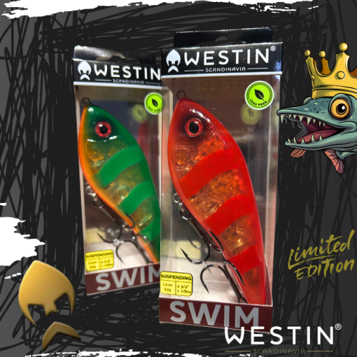 Westin Swim | Exclusively For The Pike Shop - Image 2