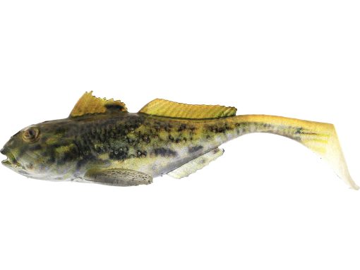 Westin - Gunnar The Goby - Image 3