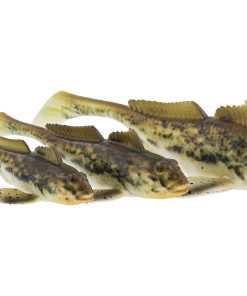 Westin - Gunnar The Goby