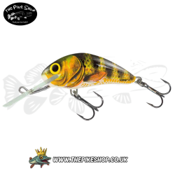 Alternative view of Salmo | Hornet | Floating