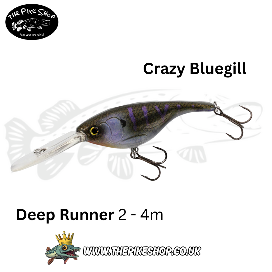 Westin | Baby Bite | Crankbait - Low Floating - Image 3