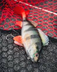 Alternative view of Fox Rage | Ultra Natural Replicant - Perch