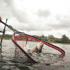 Fox Rage | Scent Shads - Image 19
