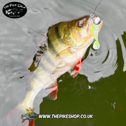 Rapala | CrushCity | The Kickman - Image 15
