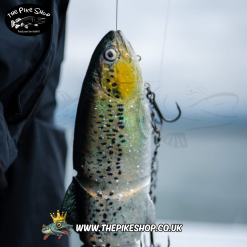 Westin | Tommy The Trout | Inline | (Soft Lure) Slow Sinking - Image 19