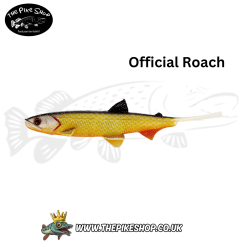 Westin | Hypoteez | V Tail - 10cm - Image 7
